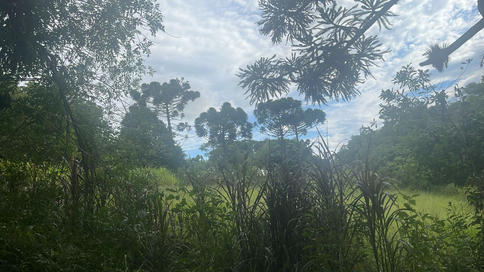 Foto destaque do imóvel