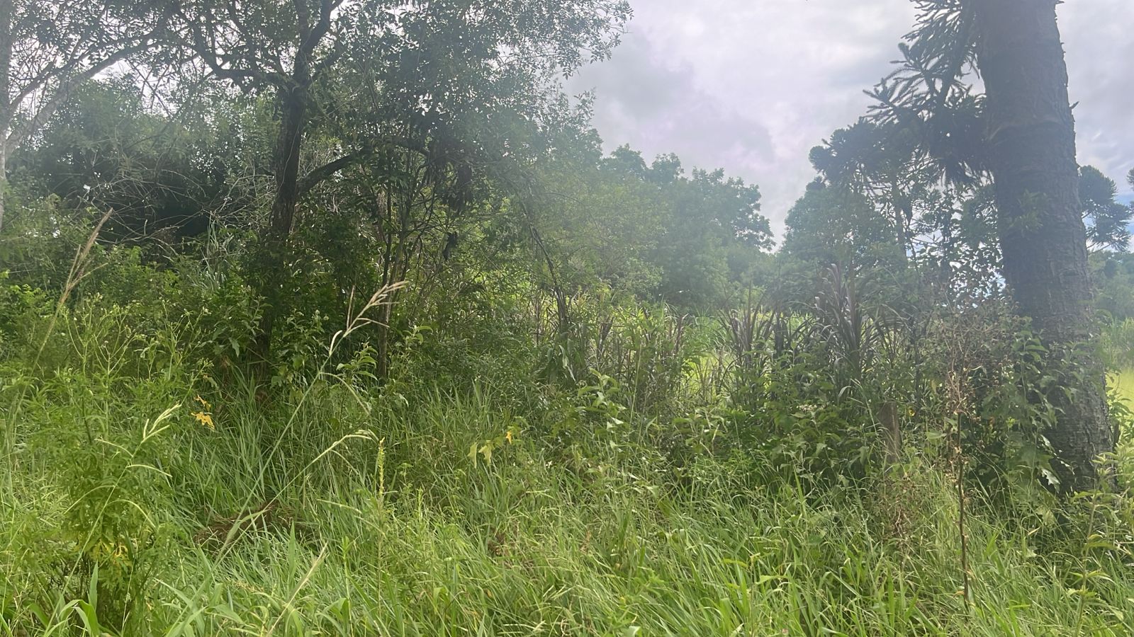 Foto destaque do imóvel
