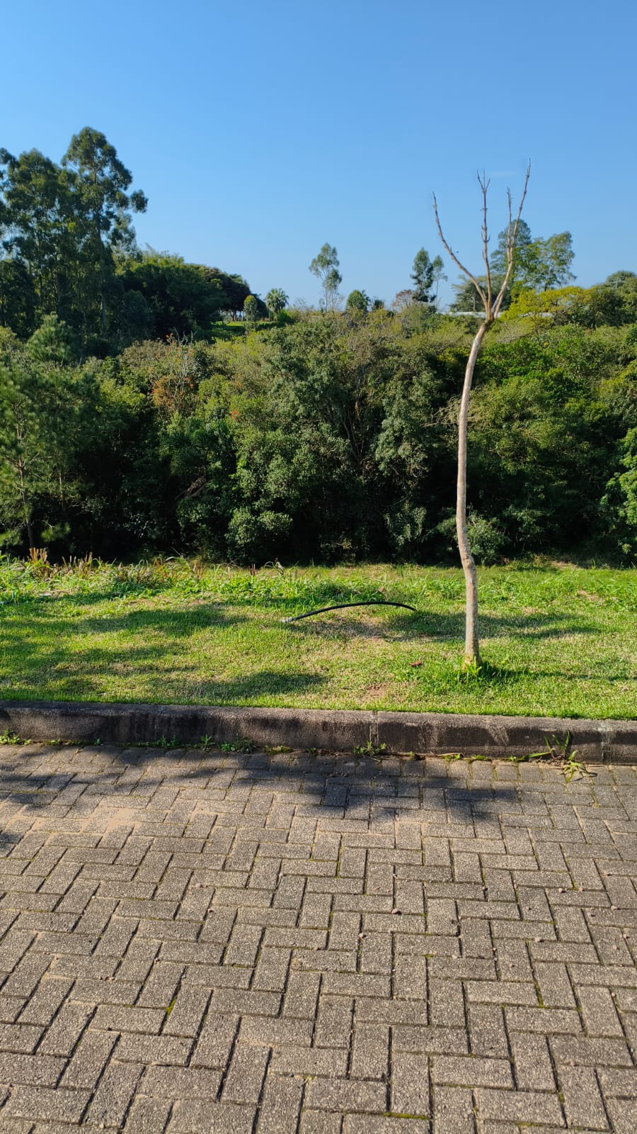 Foto destaque do imóvel